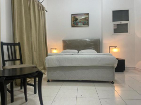 Furnished Studio Apartment next to Burjuman Metro Exit-4